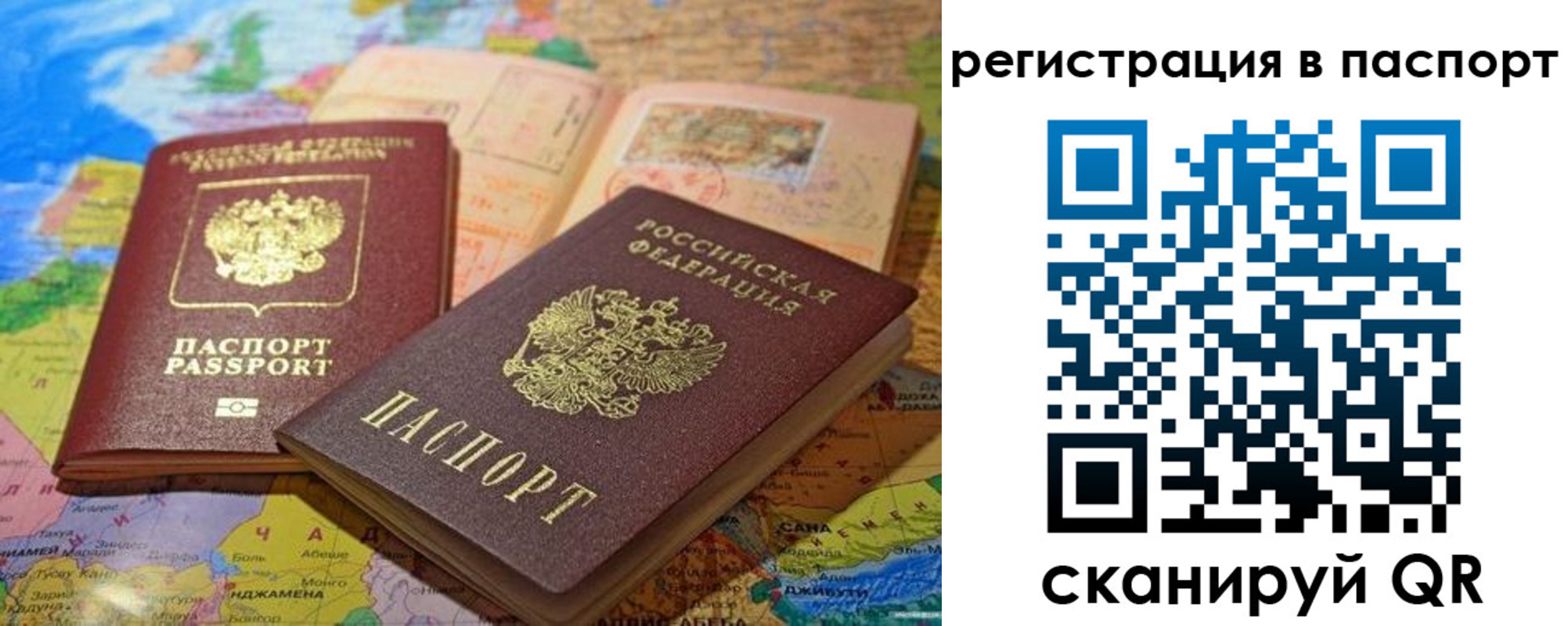 временная регистрация гарантия в Ельне