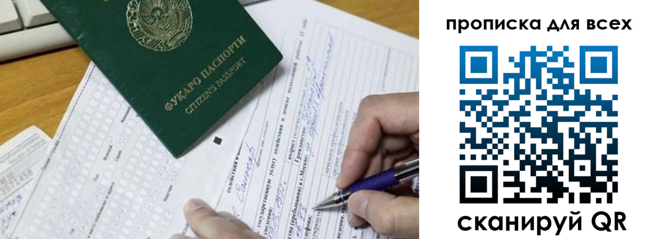 прописка в Ельне