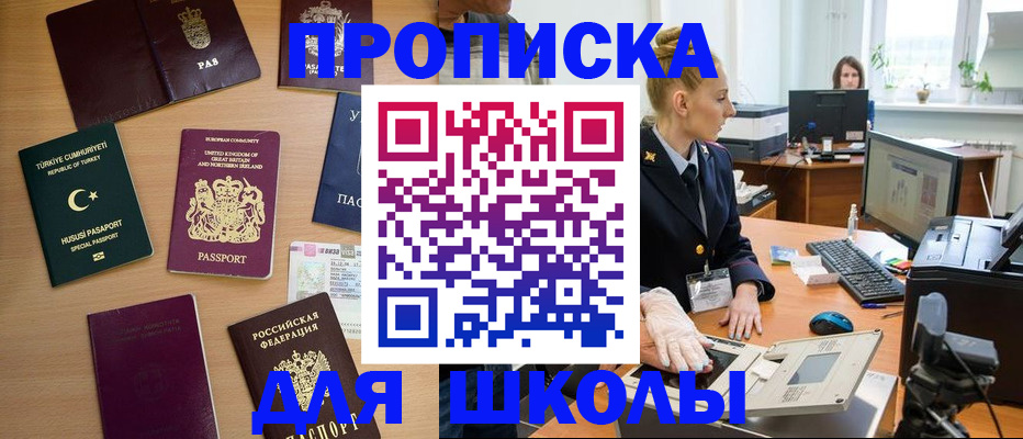 где прописаться в Ельне